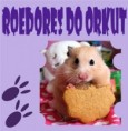 ROEDORES DO ORKUT!